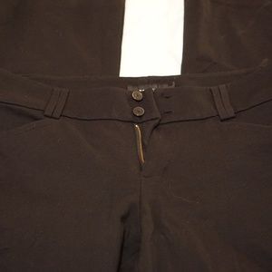 torrid dress pants